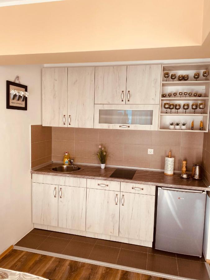 Ana Luxury Apartment **** Нова-Варош Екстер'єр фото